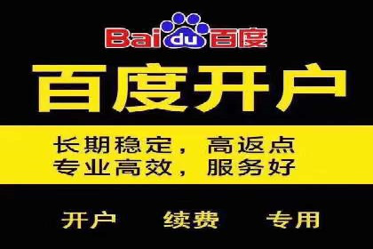某品牌通过SEM关键词实现品牌推广的实战案例