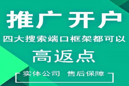 竞价托管实战案例：优化广告预算分配